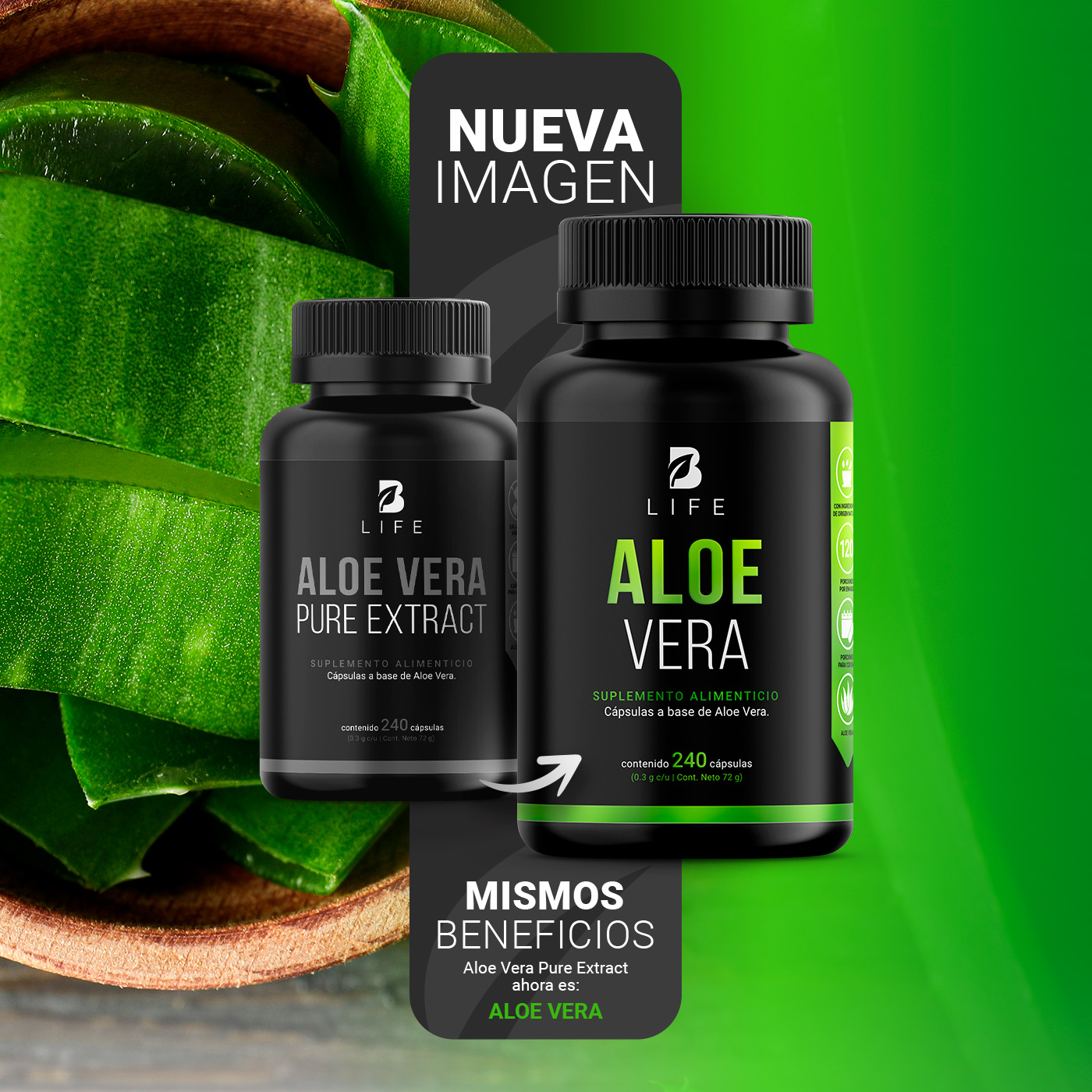Foto 4 pulgar | Suplemento Alimenticio B Life Aloe Vera 240 Cápsulas