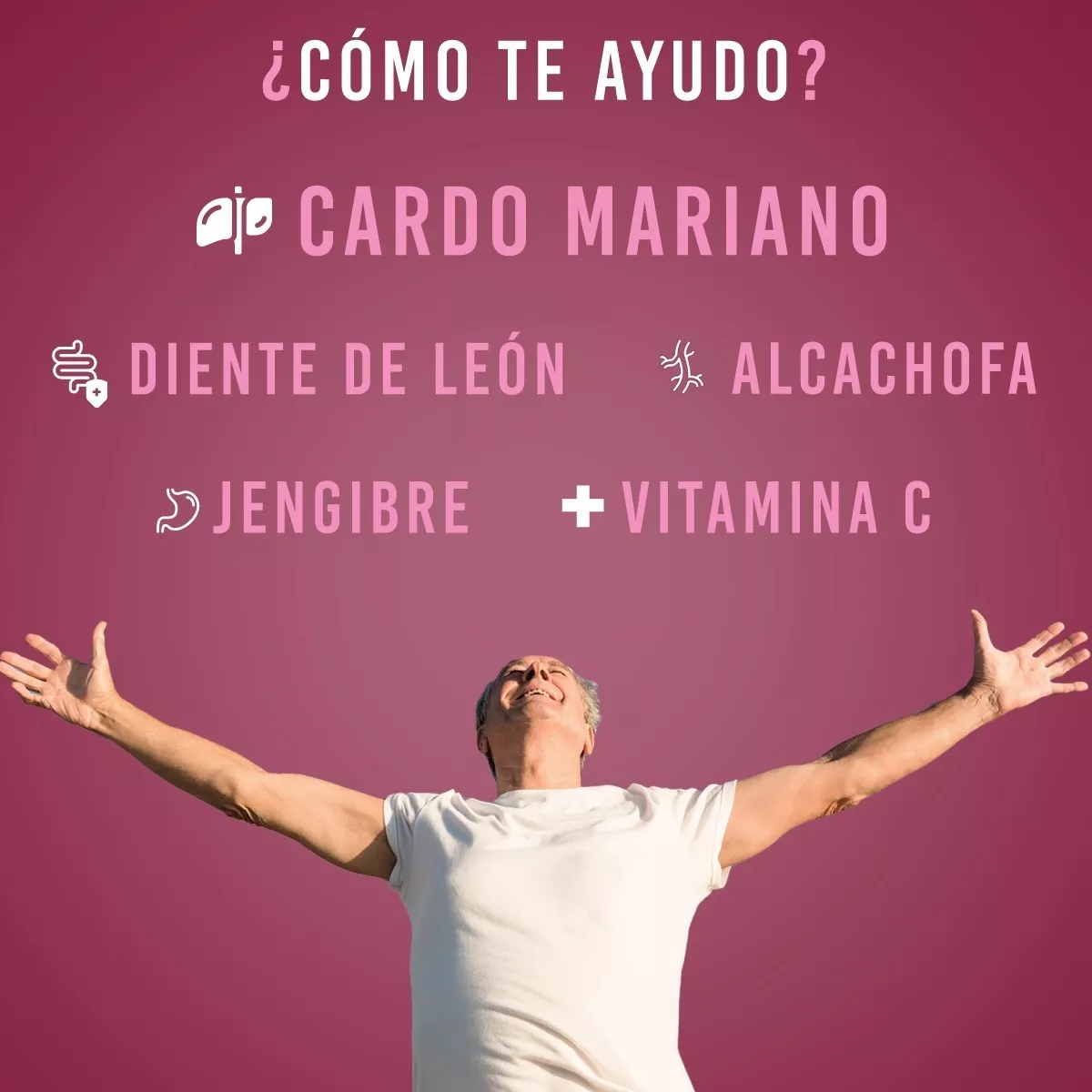 Foto 7 pulgar | Cardo Mariano 60 Cápsulas Lifeed5 con Diente de León Cúrcuma Vitamina C más Otros Ingredientes