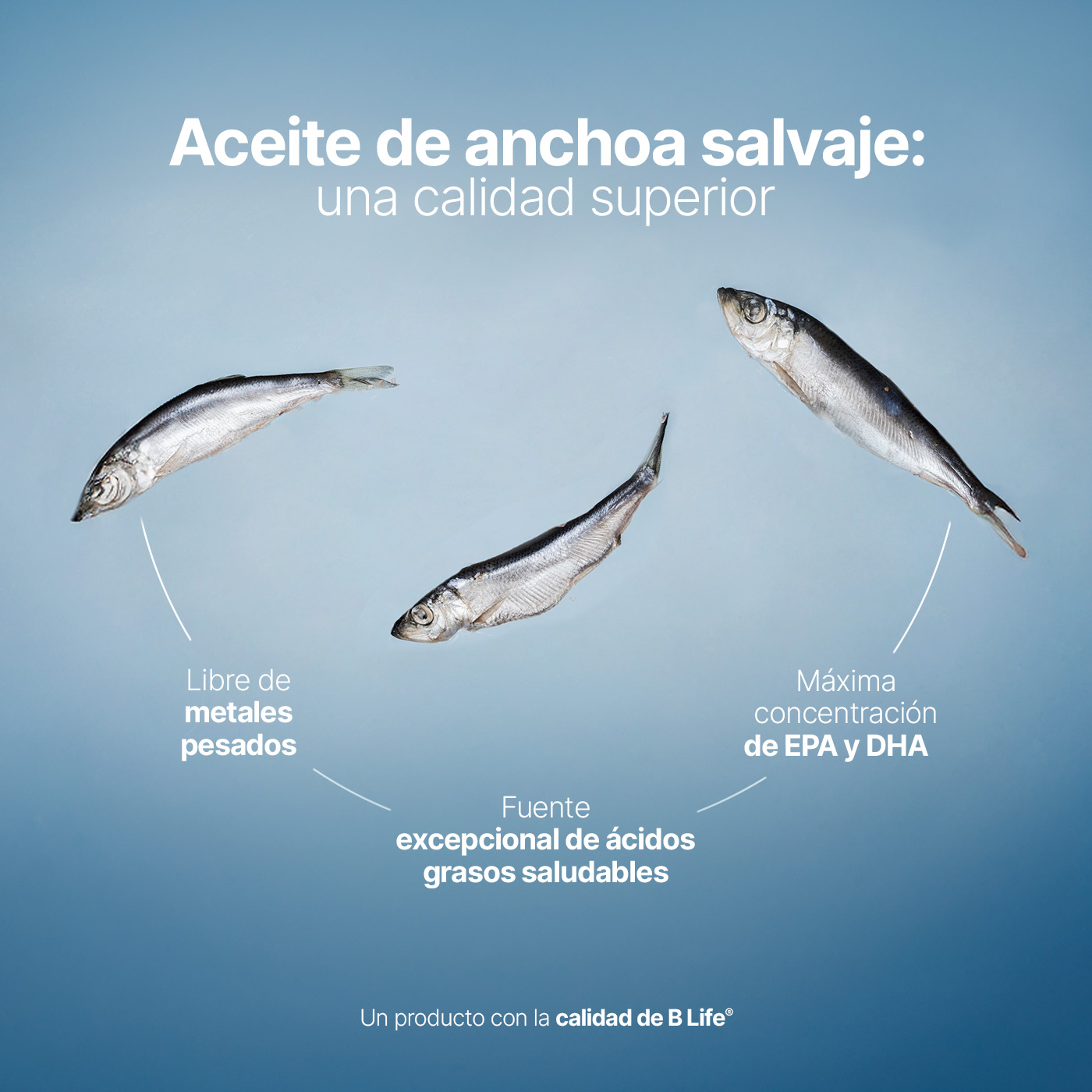 Foto 8 pulgar | Suplemento Alimenticio B Life Omega 3 Platinum 180 Cápsulas