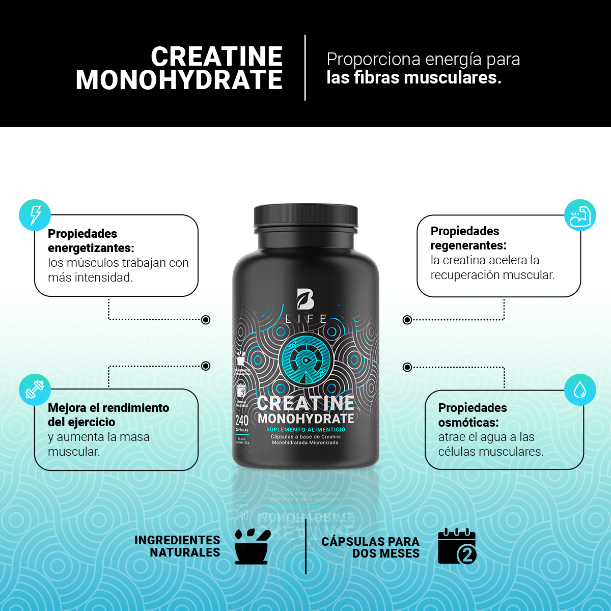 Foto 4 pulgar | Suplemento Alimenticio B Life Creatine Monohydrate 240 Cápsulas