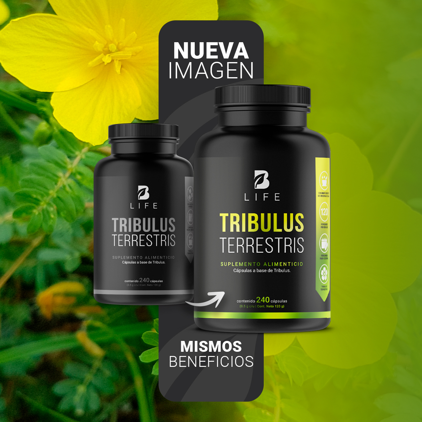 Foto 4 pulgar | Tribulus Terrestris Precursor de Testosterona 240 Cápsulas B Life