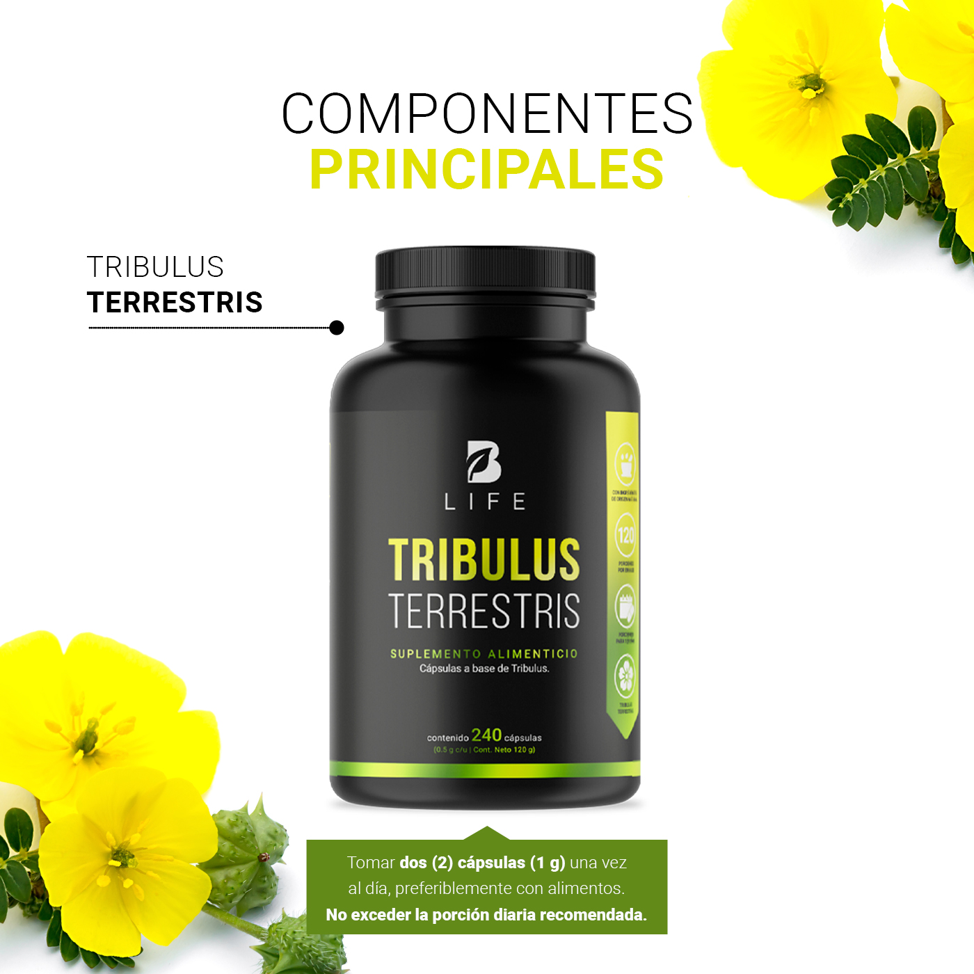 Foto 5 pulgar | Tribulus Terrestris Precursor de Testosterona 240 Cápsulas B Life
