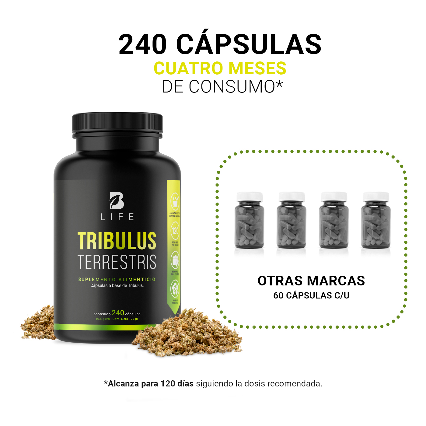 Foto 6 pulgar | Tribulus Terrestris Precursor de Testosterona 240 Cápsulas B Life