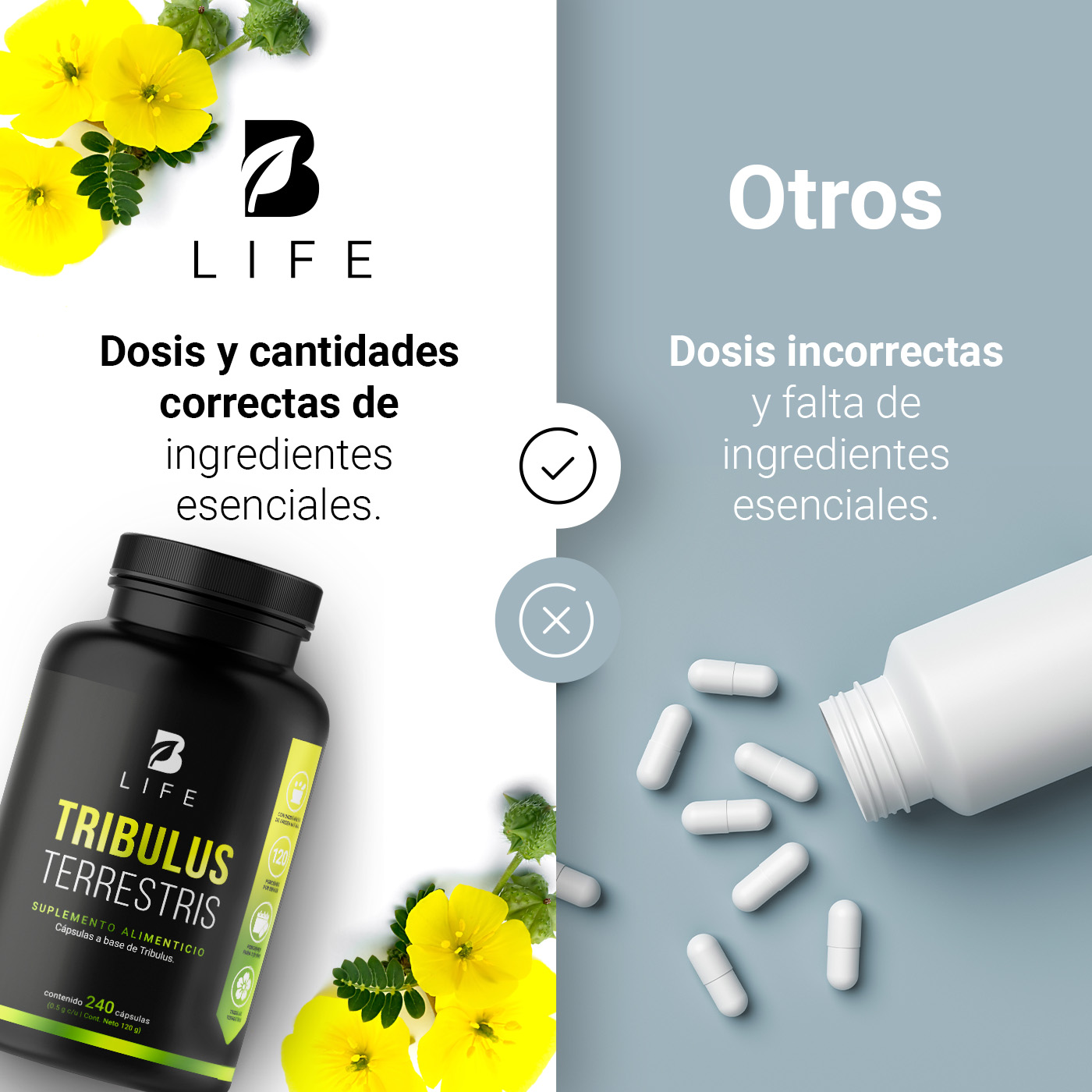 Foto 7 pulgar | Tribulus Terrestris Precursor de Testosterona 240 Cápsulas B Life