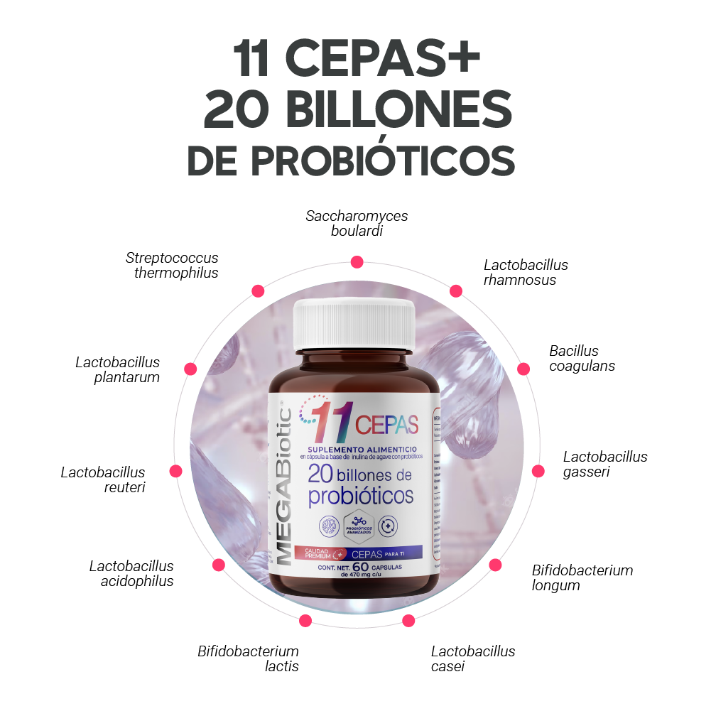 Foto 5 pulgar | Suplemento Alimenticio 20 Billones de Probióticos Megabiotic 60 Cápsulas