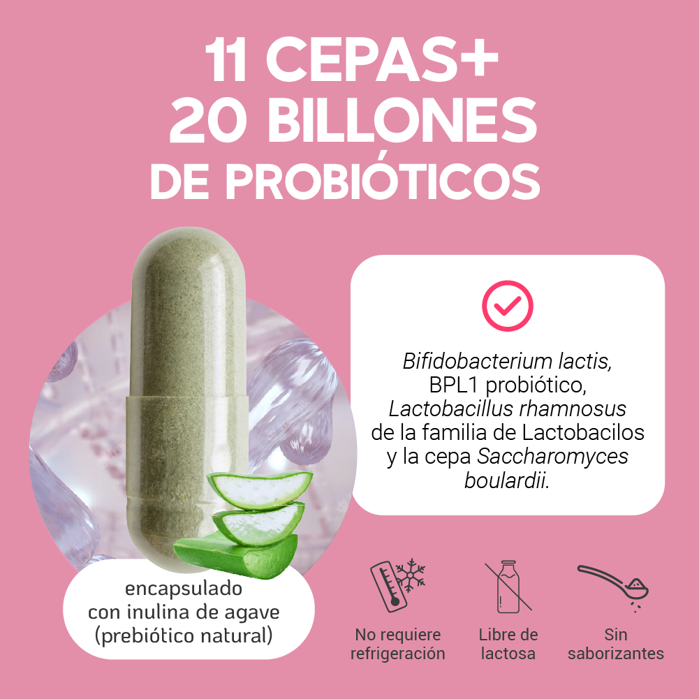 Foto 7 pulgar | Suplemento Alimenticio 20 Billones de Probióticos Megabiotic 60 Cápsulas