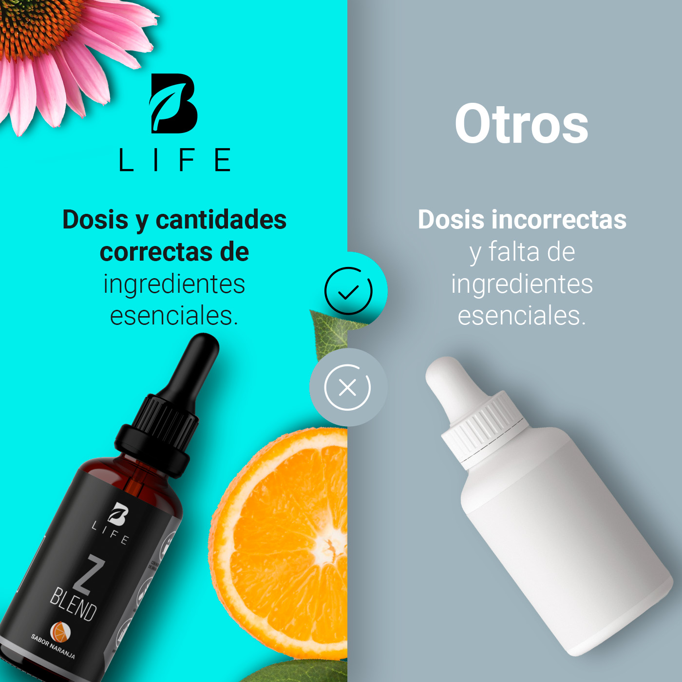 Foto 7 pulgar | Zinc Liquido de 60 Tomas con Vitamina C y Echinacea B Life