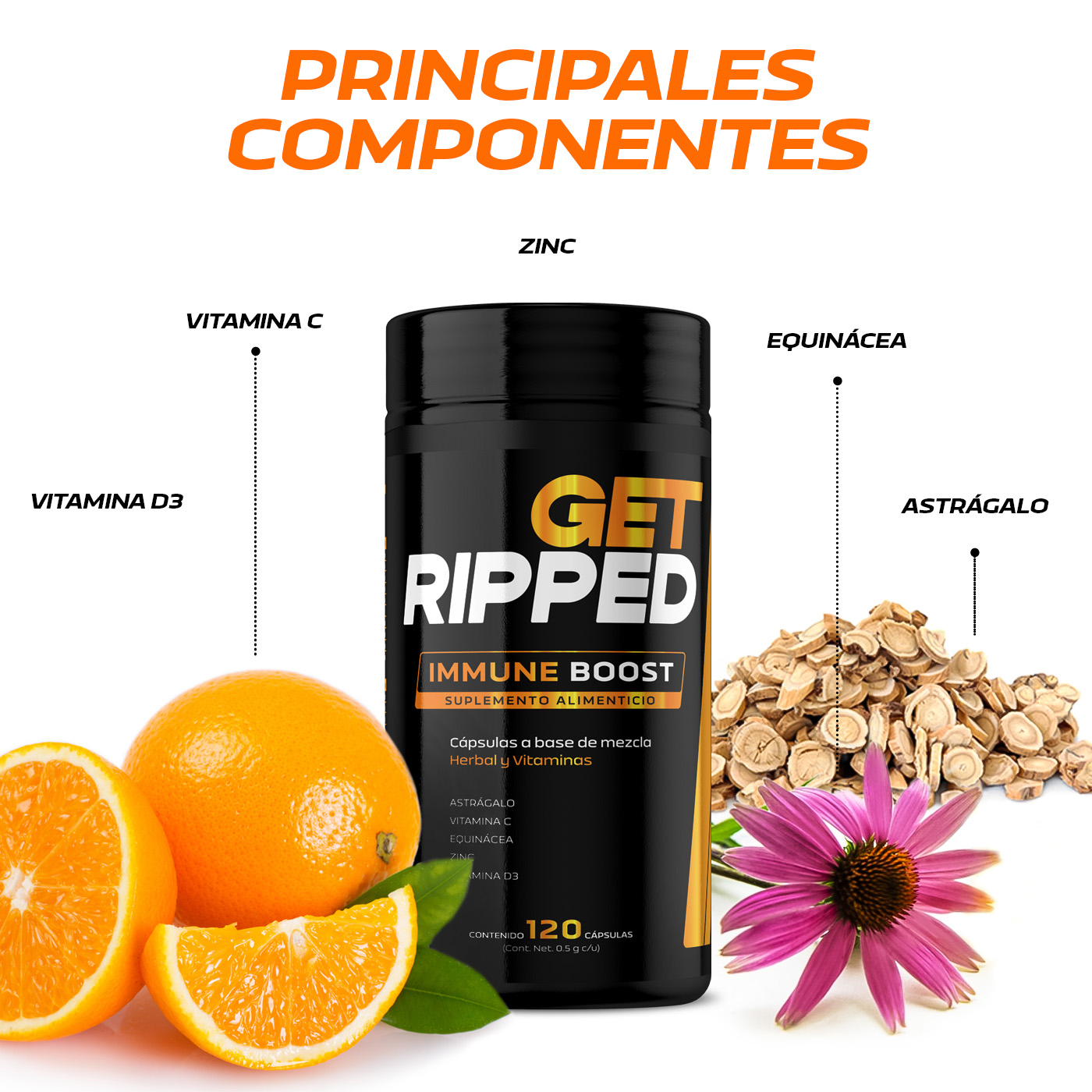 Foto 4 pulgar | Suplemento Alimenticio B Life Get Ripped Carnitine Immune Boost 120 Cápsulas