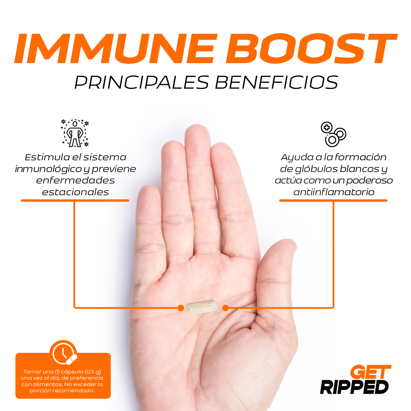 Foto 5 pulgar | Suplemento Alimenticio B Life Get Ripped Carnitine Immune Boost 120 Cápsulas