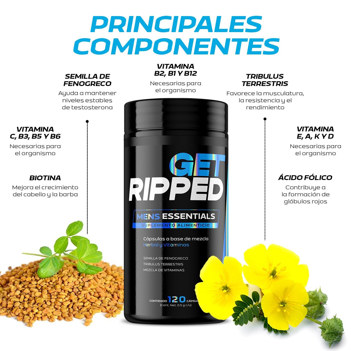 Suplemento Alimenticio B Life Mens Essentials Multivitamínico De 120 ...