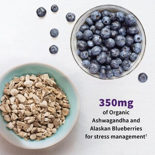 Foto 3 | Probiótico Garden Of Life Dr. Formuló Mood+ Con Ashwagandha - Venta Internacional.