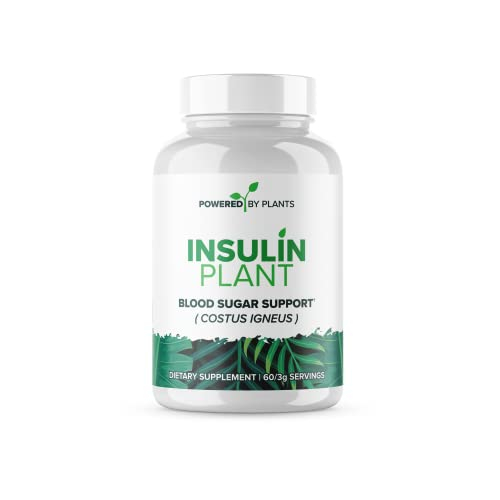 Foto 2 pulgar | Planta De Insulina Supplement Research Biotech Group 750 Mg X 240 - Venta Internacional.