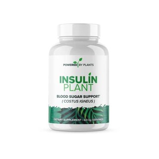 Foto 1 | Planta De Insulina Supplement Research Biotech Group 750 Mg X 240 - Venta Internacional.