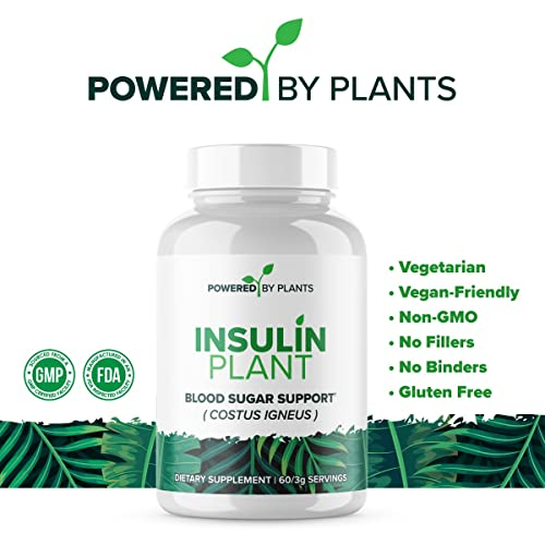 Foto 3 pulgar | Planta De Insulina Supplement Research Biotech Group 750 Mg X 240 - Venta Internacional.