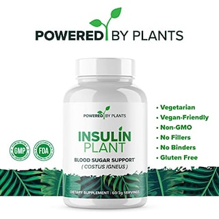 Foto 2 | Planta De Insulina Supplement Research Biotech Group 750 Mg X 240 - Venta Internacional.