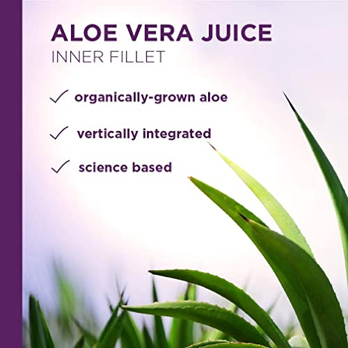 Foto 5 | Filete Interior De Jugo De Aloe Vera Lily Of The Desert De 3,8 Litros - Venta Internacional.