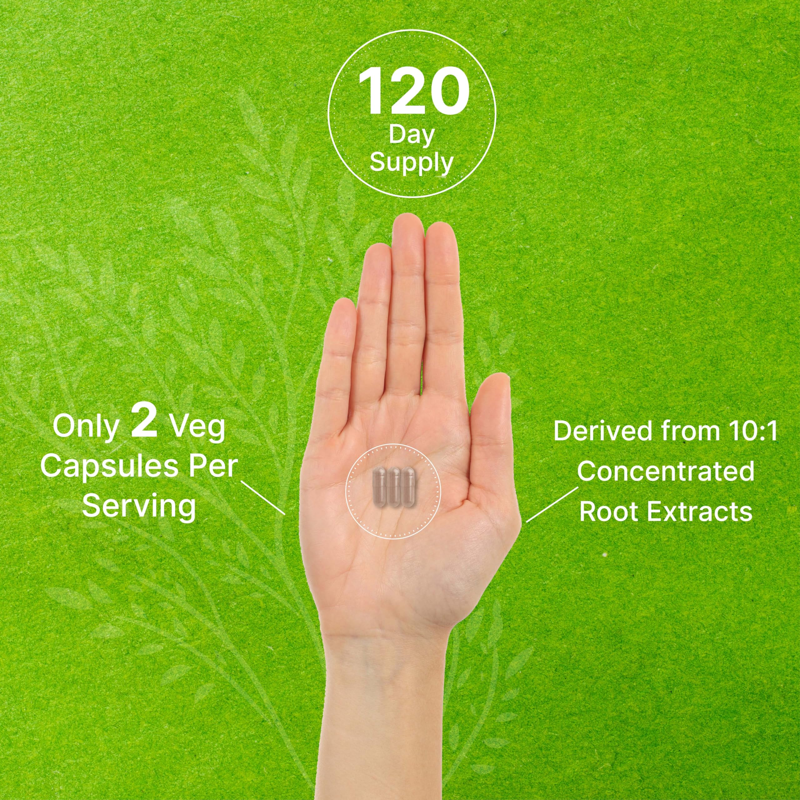 Foto 5 pulgar | Suplemento de Rhodiola Rosea con Ashwagandha 5000 mg - Venta Internacional