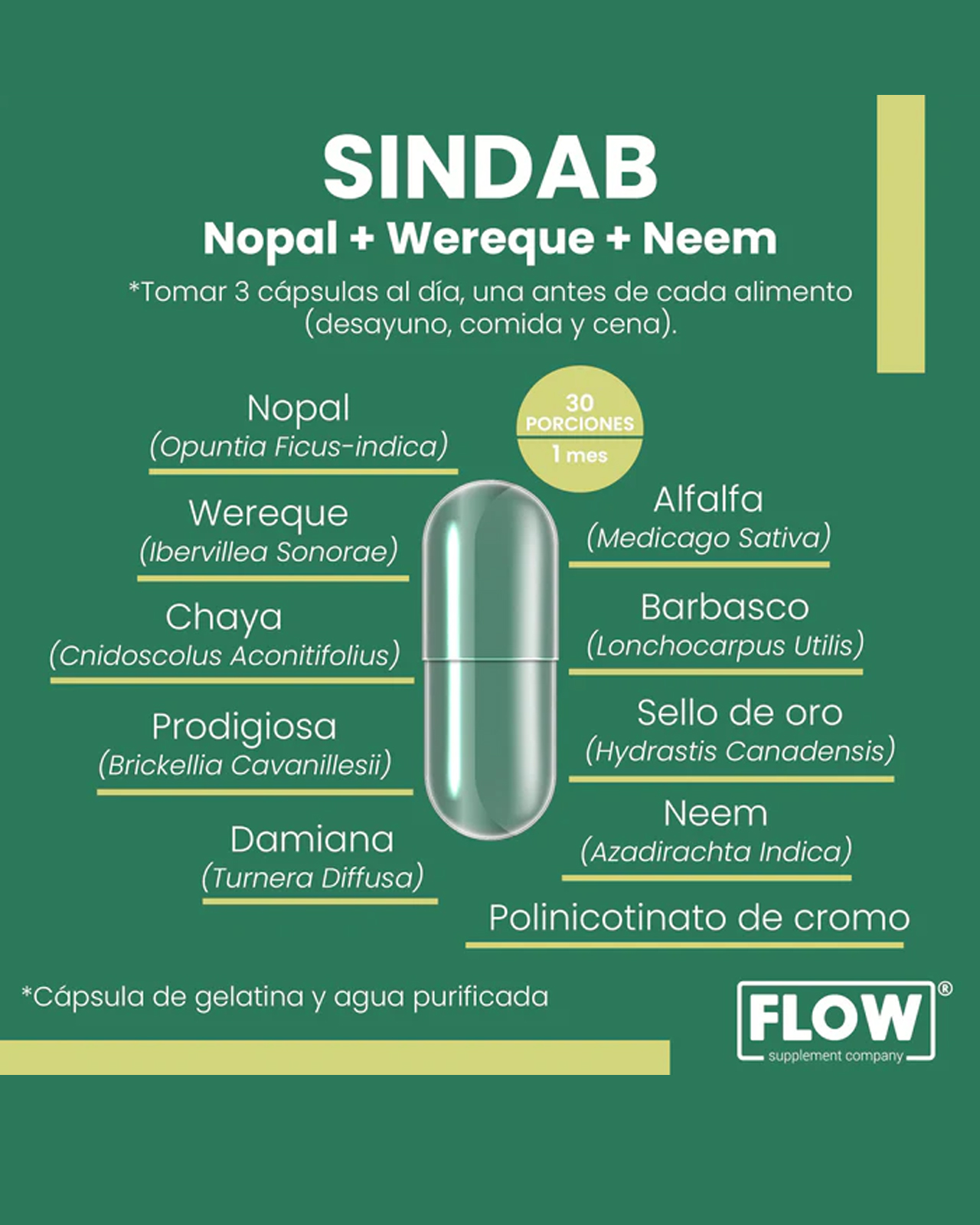 Foto 3 pulgar | Minerales y Suplementos de Flow Supplements Sindab con Nopal Wereque, Neem 90 Cápsulas 500 mg