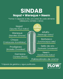 Foto 2 | Minerales y Suplementos de Flow Supplements Sindab con Nopal Wereque, Neem 90 Cápsulas 500 mg