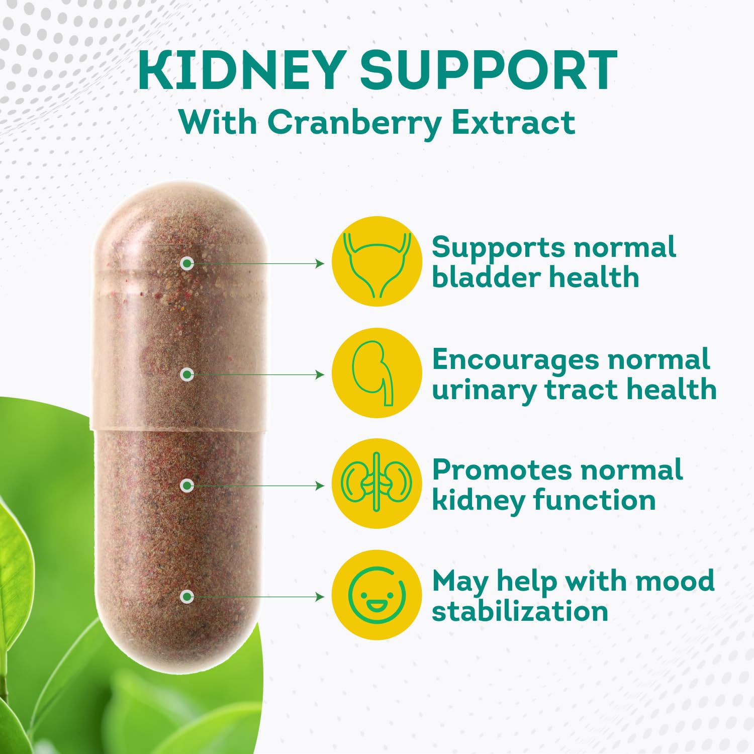 Foto 3 pulgar | Suplemento PurePremium Kidney Supports de 60 Cápsulas-Venta Internacional