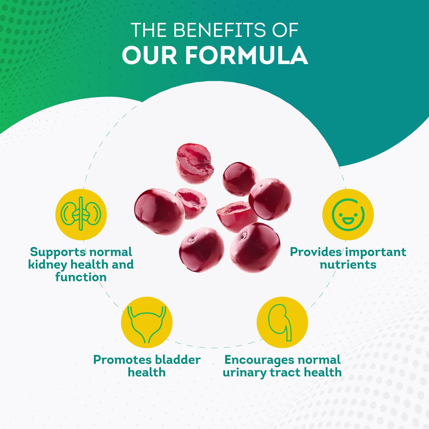 Foto 6 pulgar | Suplemento PurePremium Kidney Supports de 60 Cápsulas-Venta Internacional