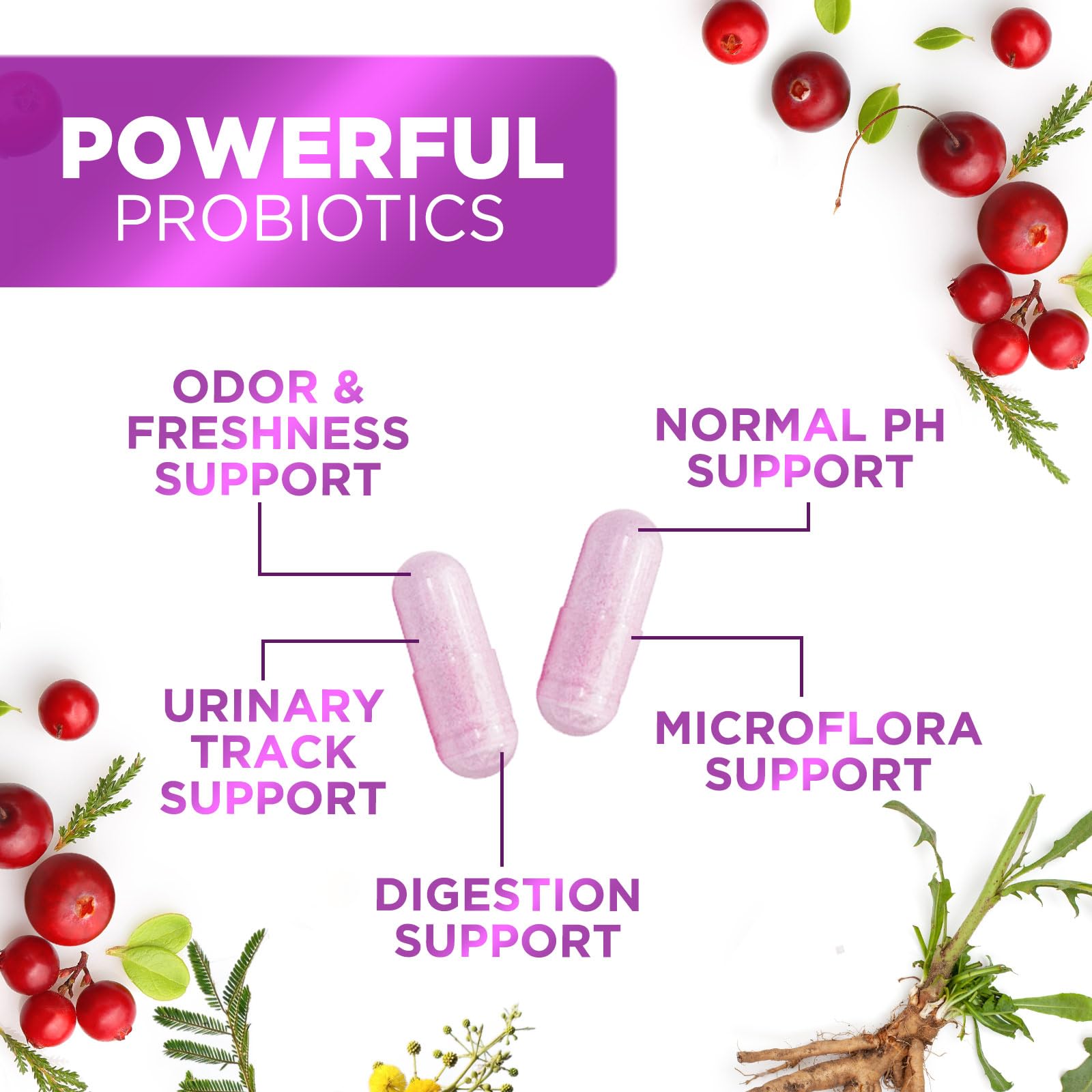 Foto 6 pulgar | Probióticos Nature's Nutrition 60 Mil Millones de CFU 60 Cápsulas para Mujeres - Venta Internacional