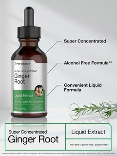 Foto 3 | Suplemento Líquido Horbäach Extracto de Raíz de Jengibre 60 ml - Venta Internacional