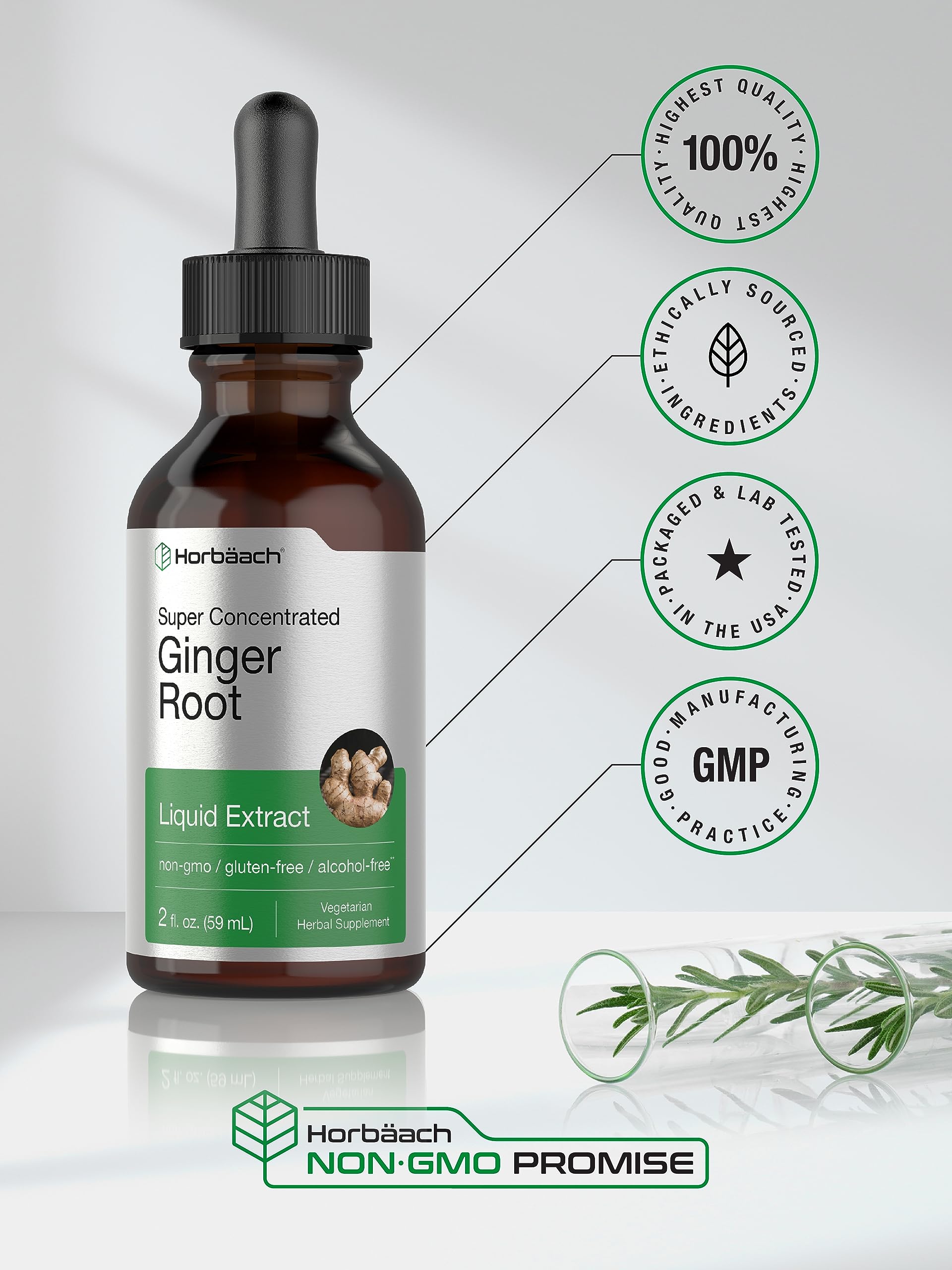 Foto 6 pulgar | Suplemento Líquido Horbäach Extracto de Raíz de Jengibre 60 ml - Venta Internacional