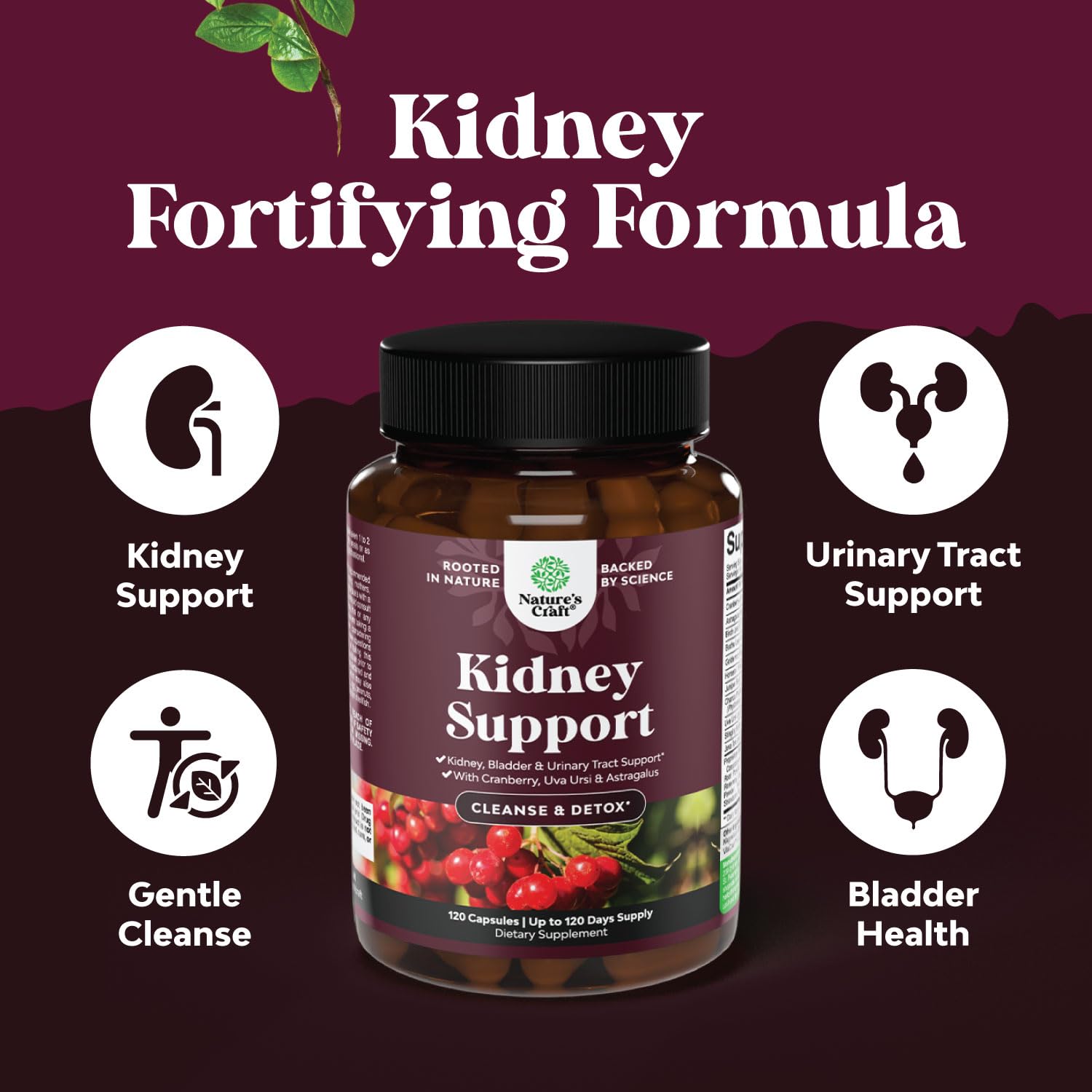 Foto 4 pulgar | Suplemento Nature's Craft Kidney Support 120 Cápsulas-Venta Internacional