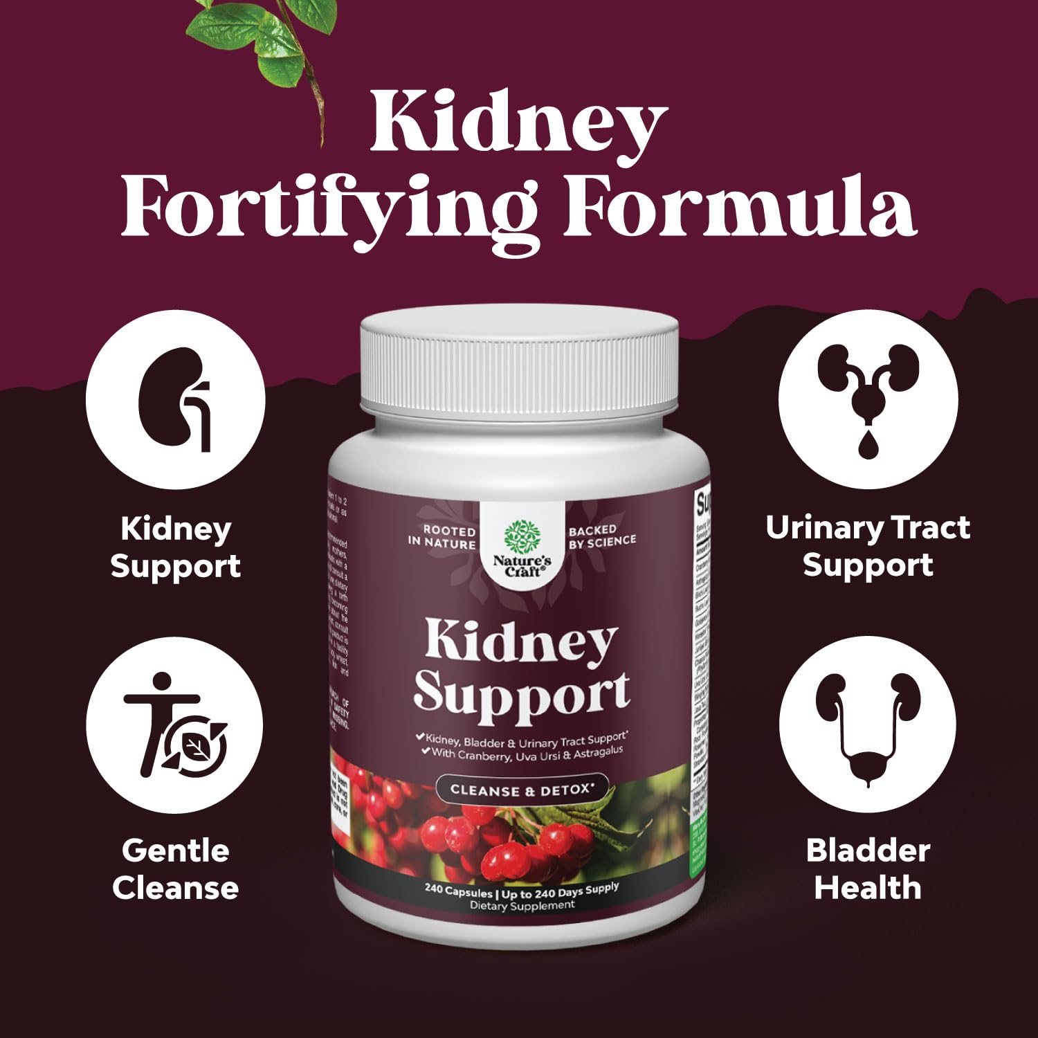 Foto 4 pulgar | Suplemento Natures Craft Kidney Support Cranberry 240 Cápsulas-Venta Internacional