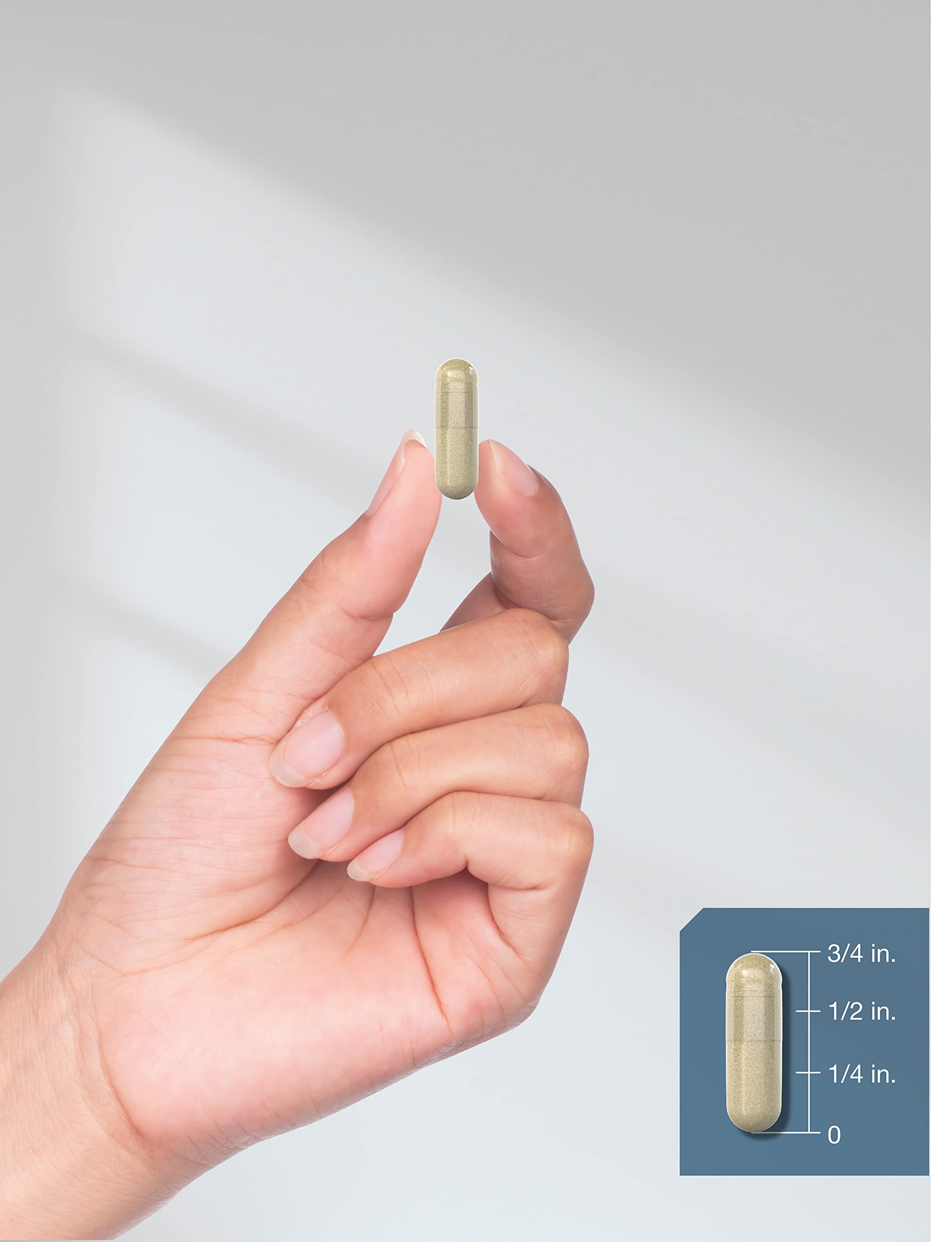 Foto 8 pulgar | Suplemento de Quercetina Horbäach con Bromelina 240 Cápsulas - Venta Internacional
