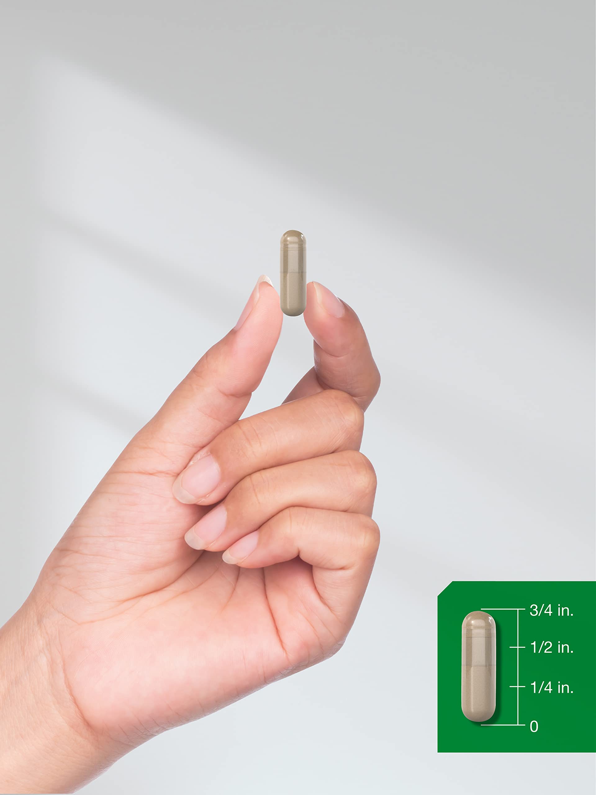Foto 8 pulgar | Suplemento Horbäach Echinacea Goldenseal 1400 Mg 300 Cápsulas - Venta Internacional