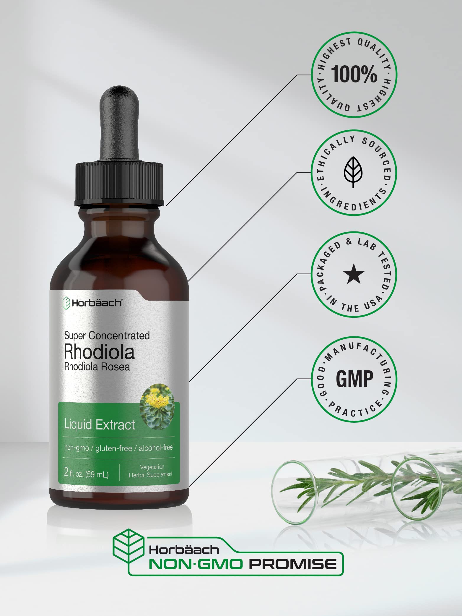 Foto 6 pulgar | Suplemento Horbäach Tintura de Rhodiola Rosea 60 ml- Venta Internacional