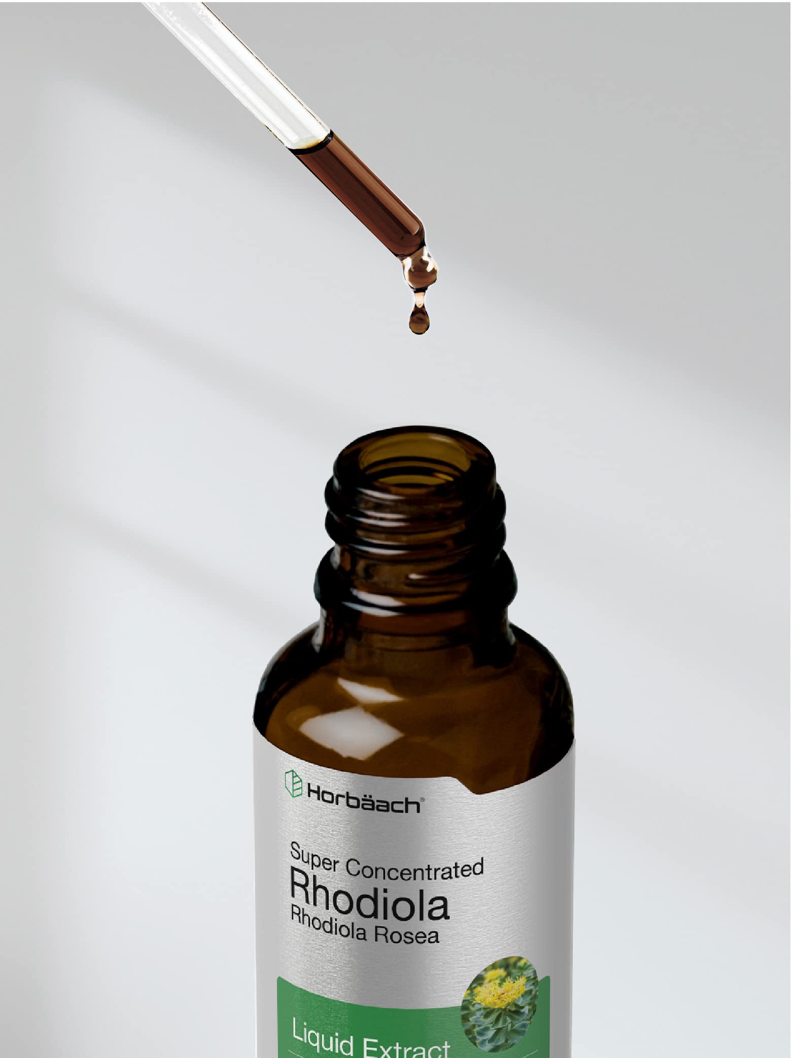 Foto 8 pulgar | Suplemento Horbäach Tintura de Rhodiola Rosea 60 ml- Venta Internacional