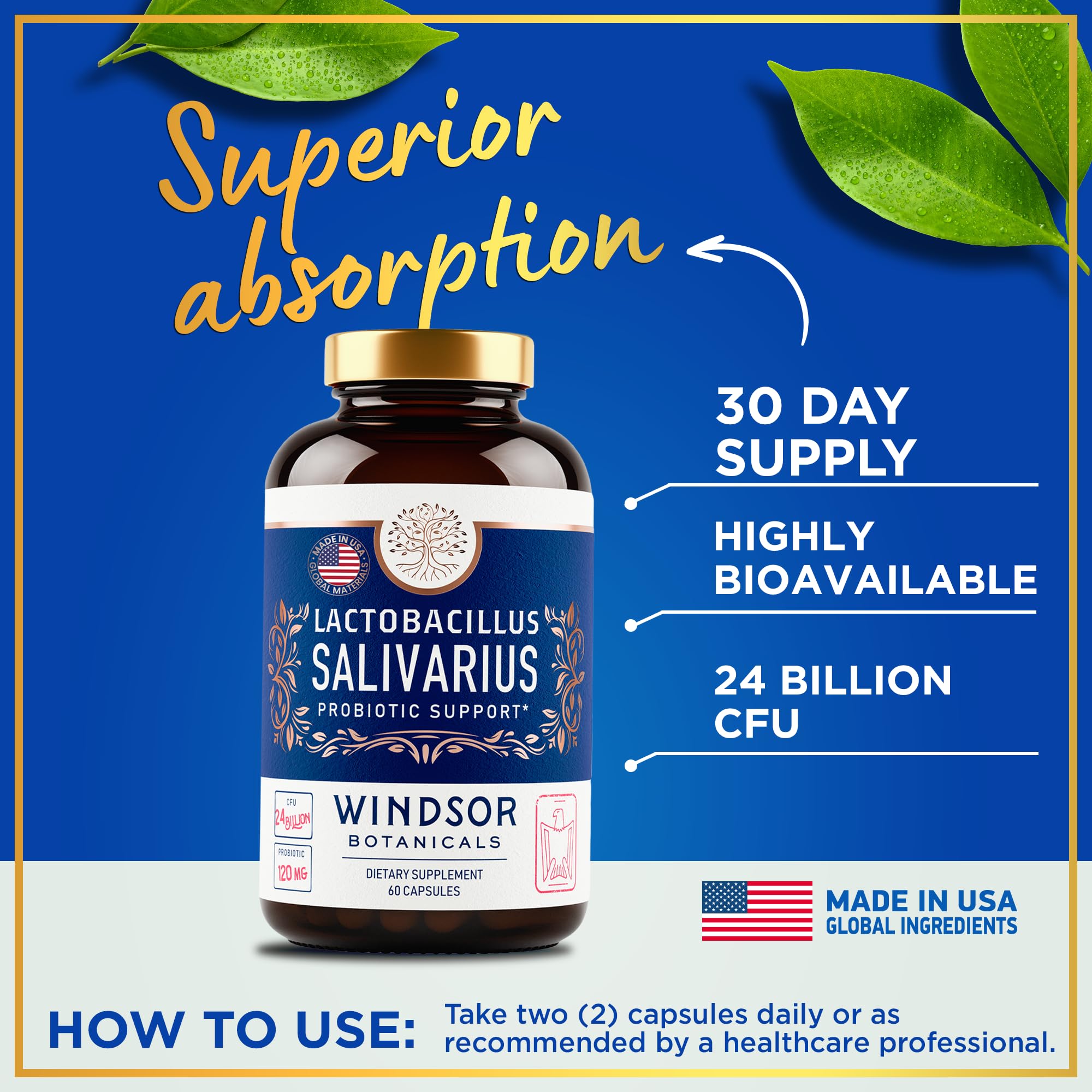 Foto 5 pulgar | Cápsulas Probióticas Windsor Botanicals Lactobacillus Salivarius 60 Cápsulas - Venta Internacional