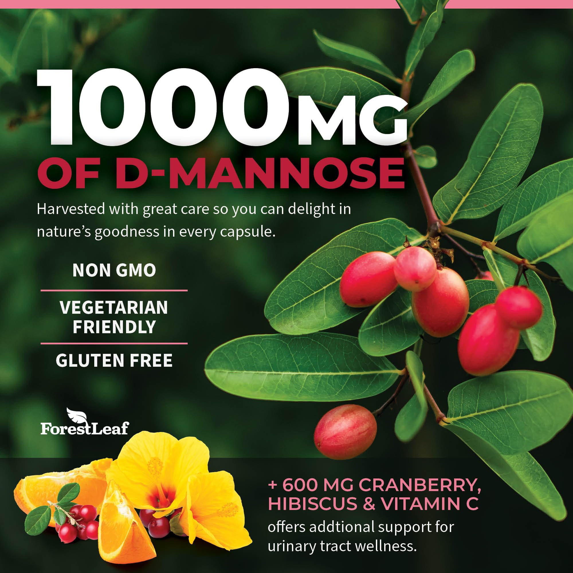 Foto 4 pulgar | Suplemento Forestleaf D-manose 1000 Mg Con Arándano Y Vitamina C 60 Cápsulas - Venta Internacional
