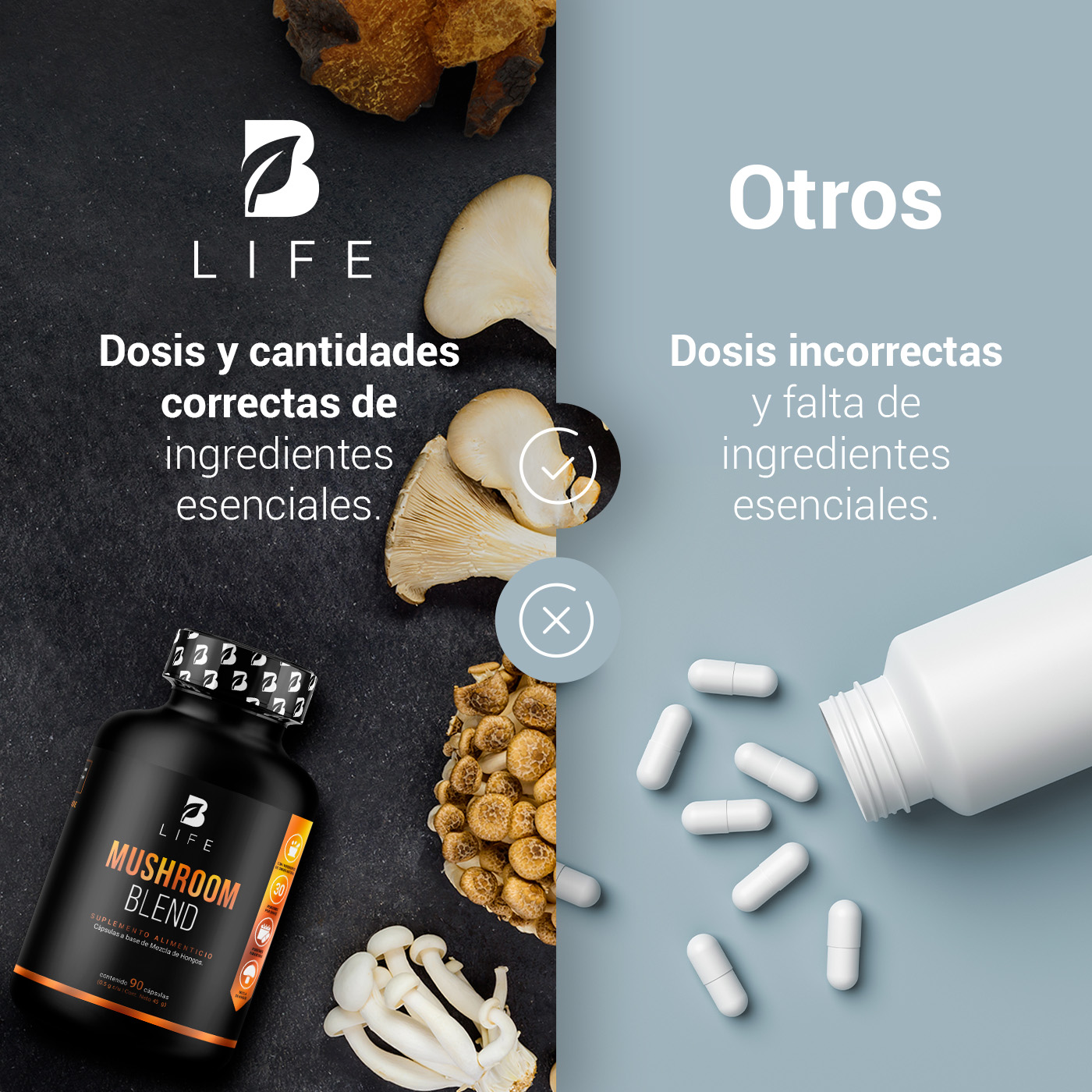 Foto 6 pulgar | Suplemento B Life Mushroom Blend de 90 Cápsulas