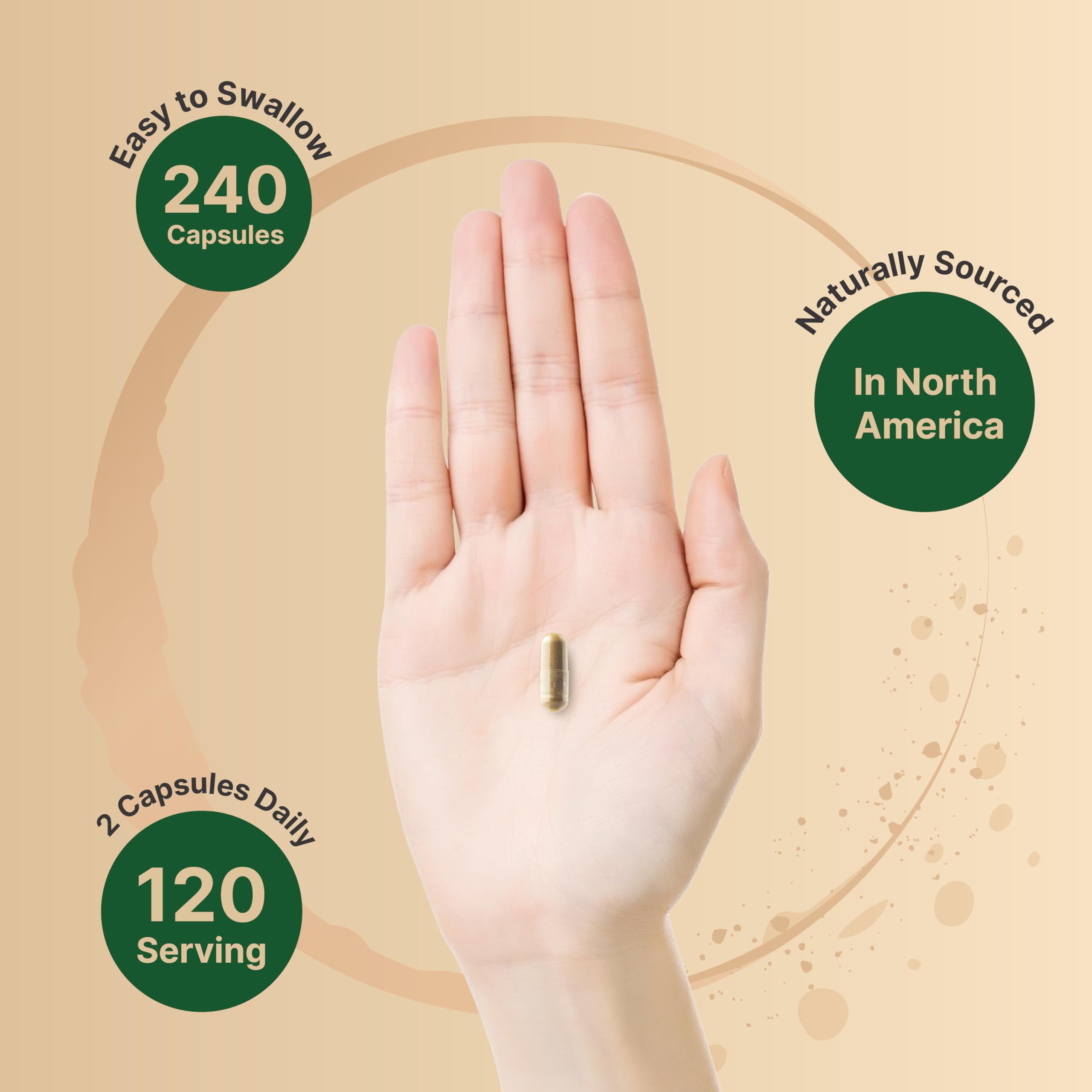 Foto 5 pulgar | Suplemento Naturebell St John's Wort 9000 Mg 240 Cápsulas - Venta Internacional