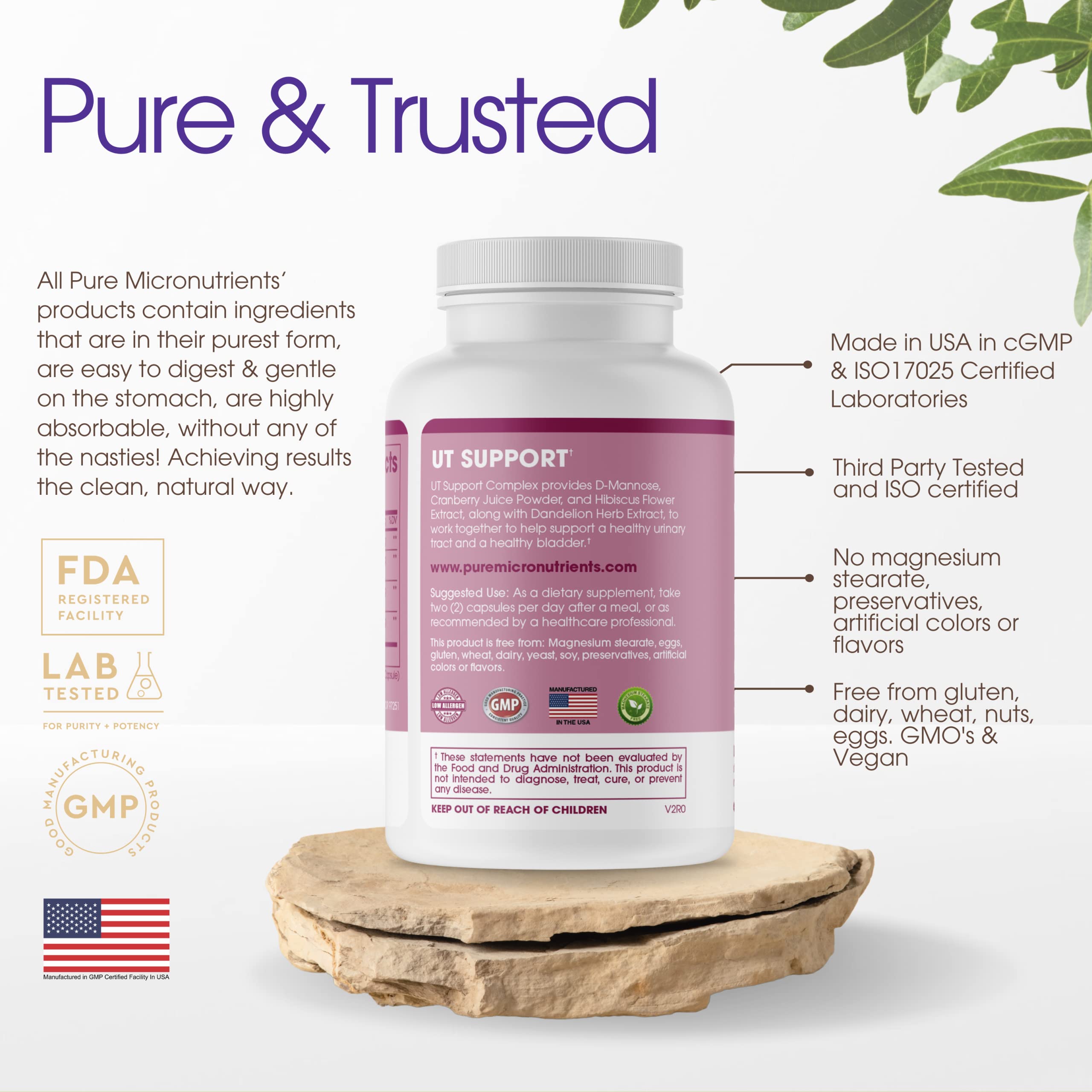 Foto 3 pulgar | Suplemento Pure Micronutrients Ut Support 1000 Mg 60 Cápsulas - Venta Internacional