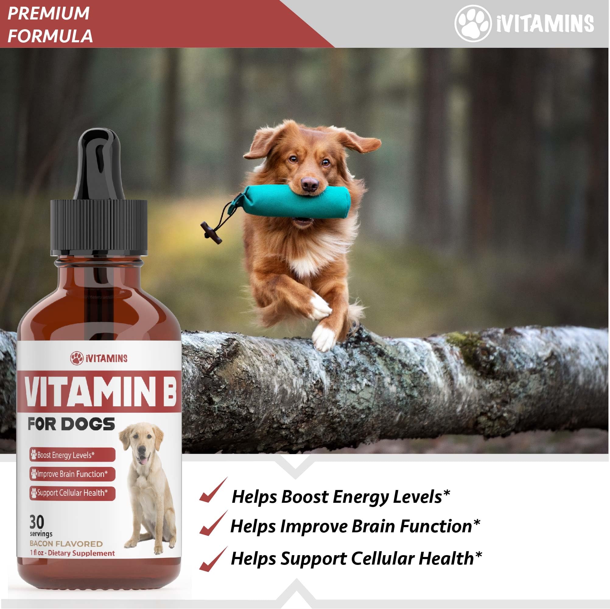 Foto 4 pulgar | Vitamina B Ivitamins 30 ml para Perros - Venta Internacional