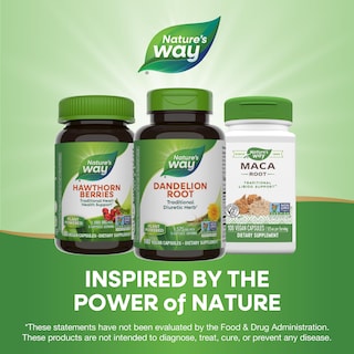 Foto 7 | Suplemento Nature's Way Raíz de Diente de León 100 Cápsulas - Venta Internacional