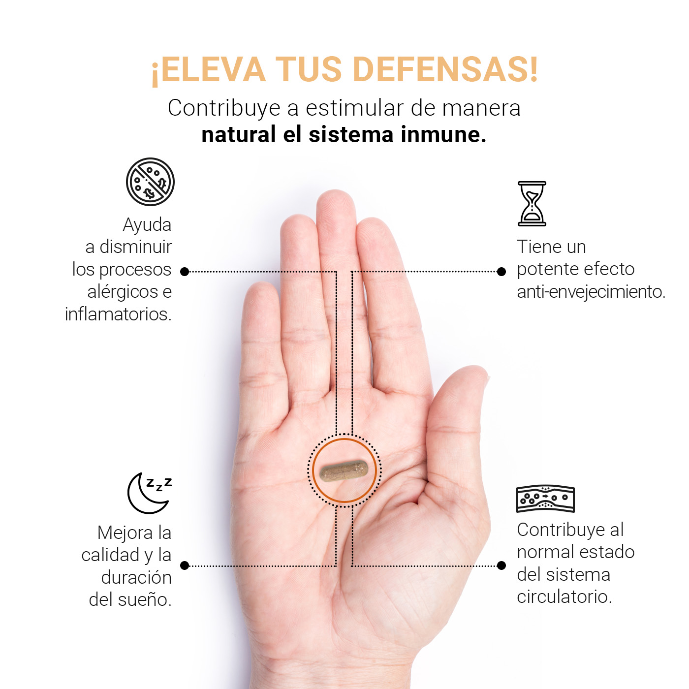 Foto 5 pulgar | Reishi Blend  B Life 100 Cápsulas