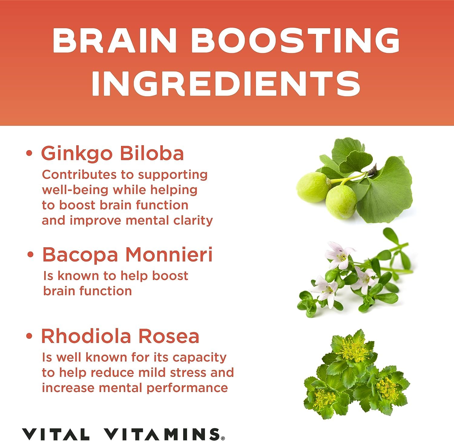 Foto 4 pulgar | Suplemento de Vitaminas Vitales Brain Booster Memory Focus - Venta Internacional