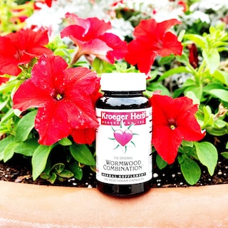 Foto 7 | Suplemento Kroeger Herb & Wormwood Combination 100 Cápsulas - Venta Internacional