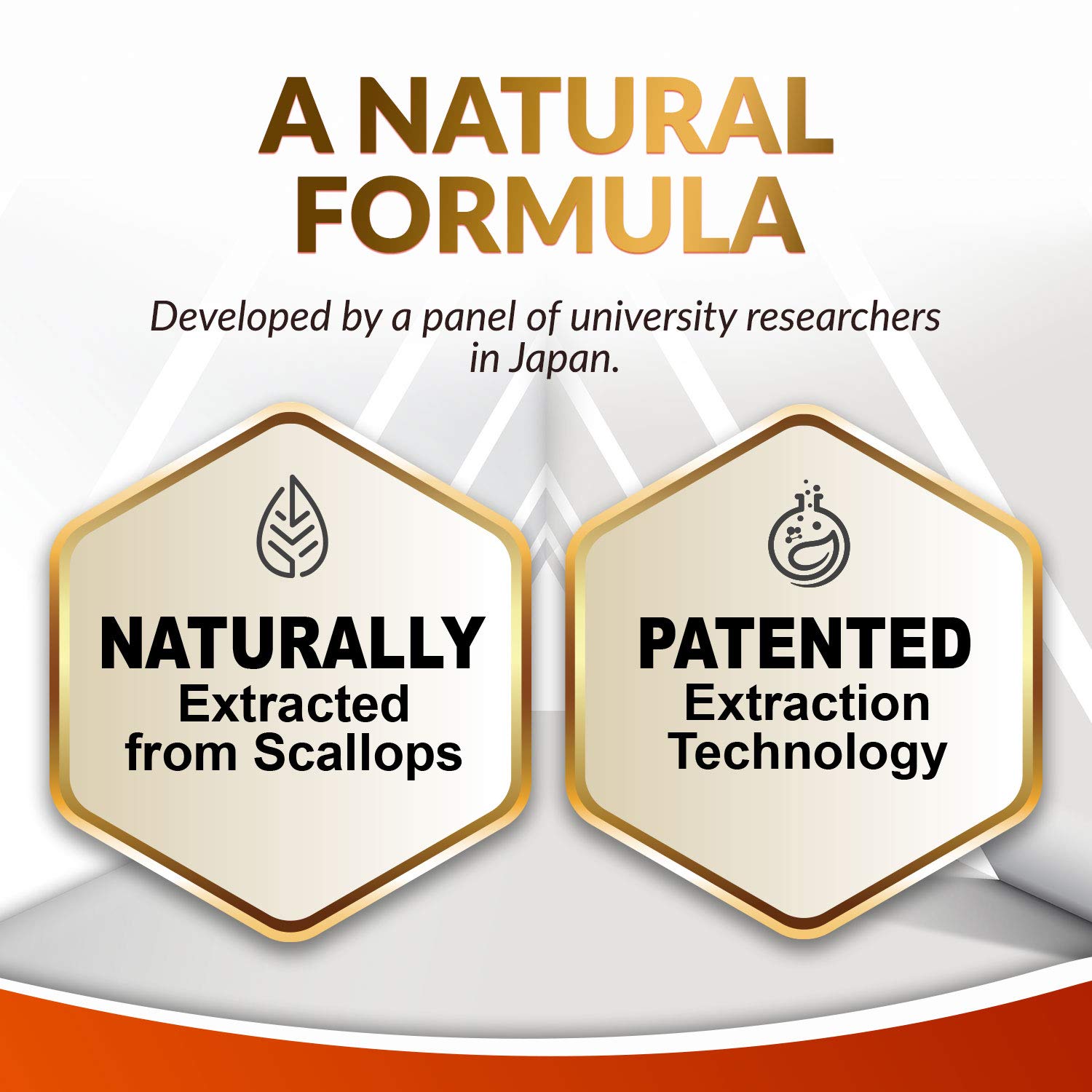 Foto 6 pulgar | Suplemento Labo Nutrition Plasmalógeno Derivado de Vieiras Neuroregain  - Venta Internacional