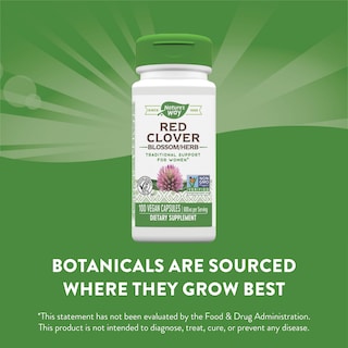 Foto 3 | Suplemento Nature's Way con Flor de Trébol Rojo 800 Mg 100 Cápsulas - Venta Internacional