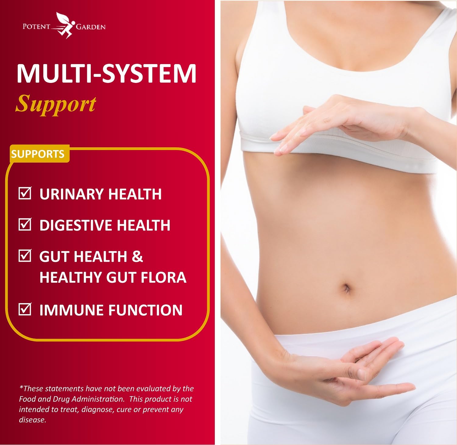 Foto 4 pulgar | Suplemento Potent Garden Urinary Support Women 60 Cápsulas - Venta Internacional