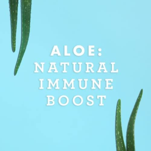 Foto 5 pulgar | Suplemento Lily Of The Desert Aloe Vera de 473 ml-Venta Internacional