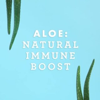 Foto 4 | Suplemento Lily Of The Desert Aloe Vera de 473 ml-Venta Internacional