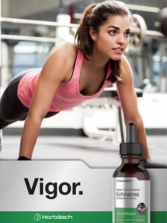 Foto 7 | Suplemento Horbäach Echinacea Drops Extracto Líquido 60 ml - Venta Internacional